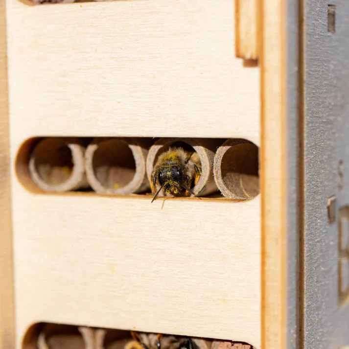 DIY Bee Hotel Kit - Image 10