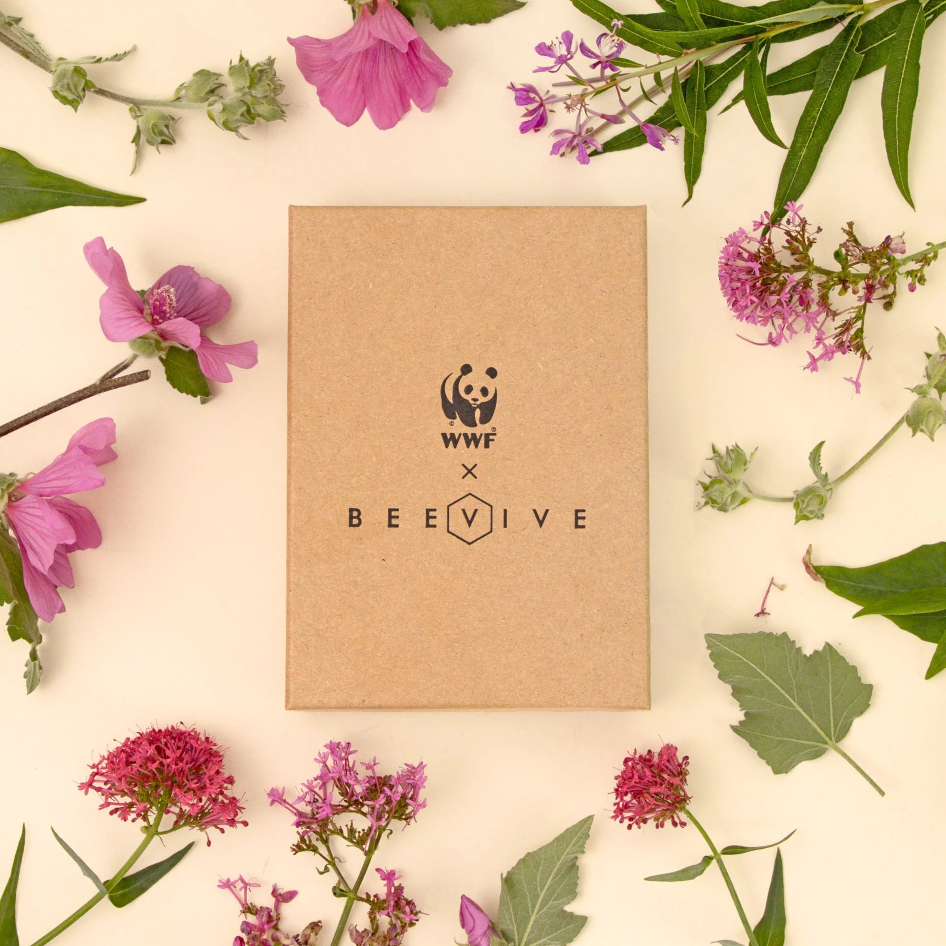 Bee Revival Kit Gift Box - Image 3