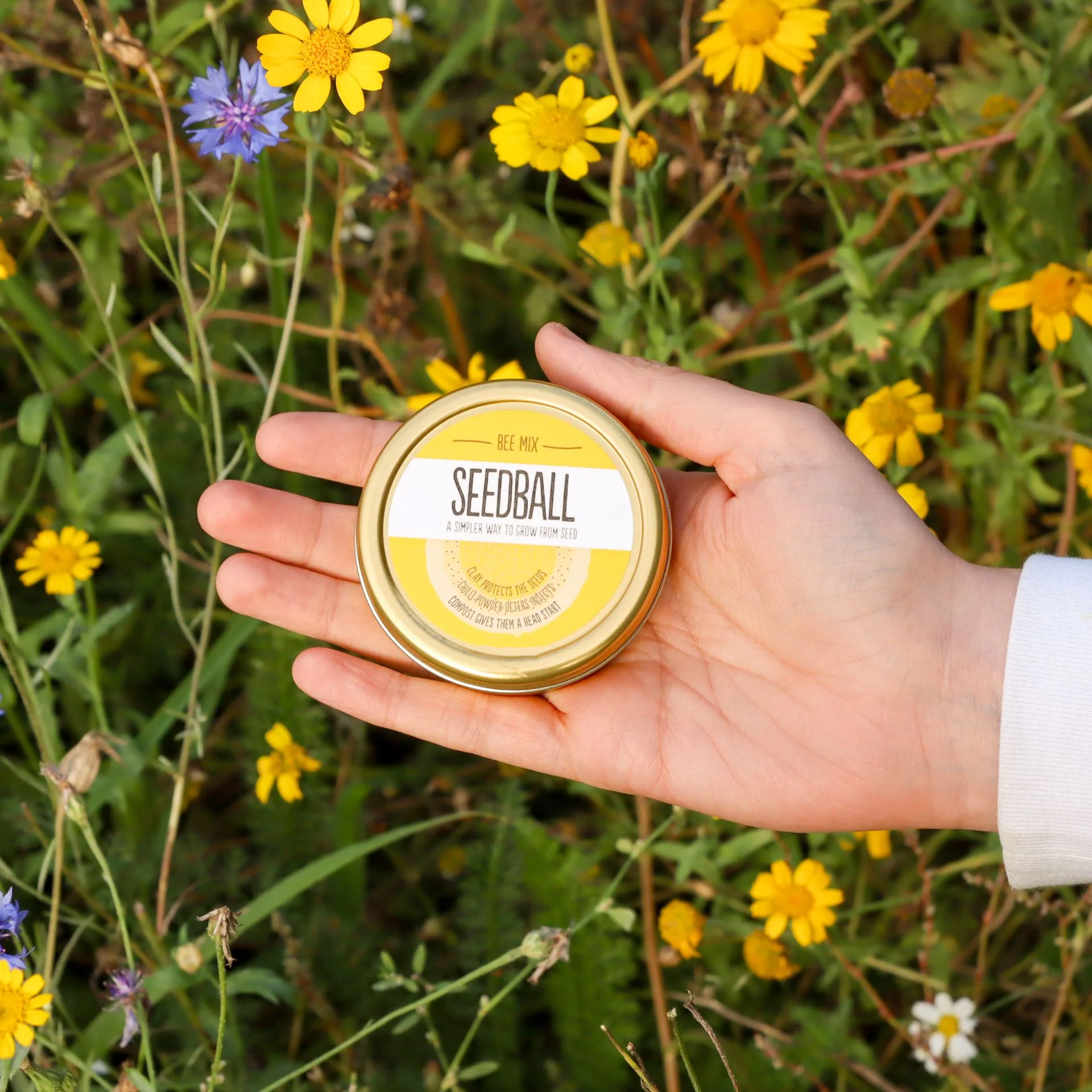 Bee Revival Kit Gift Box - Image 8