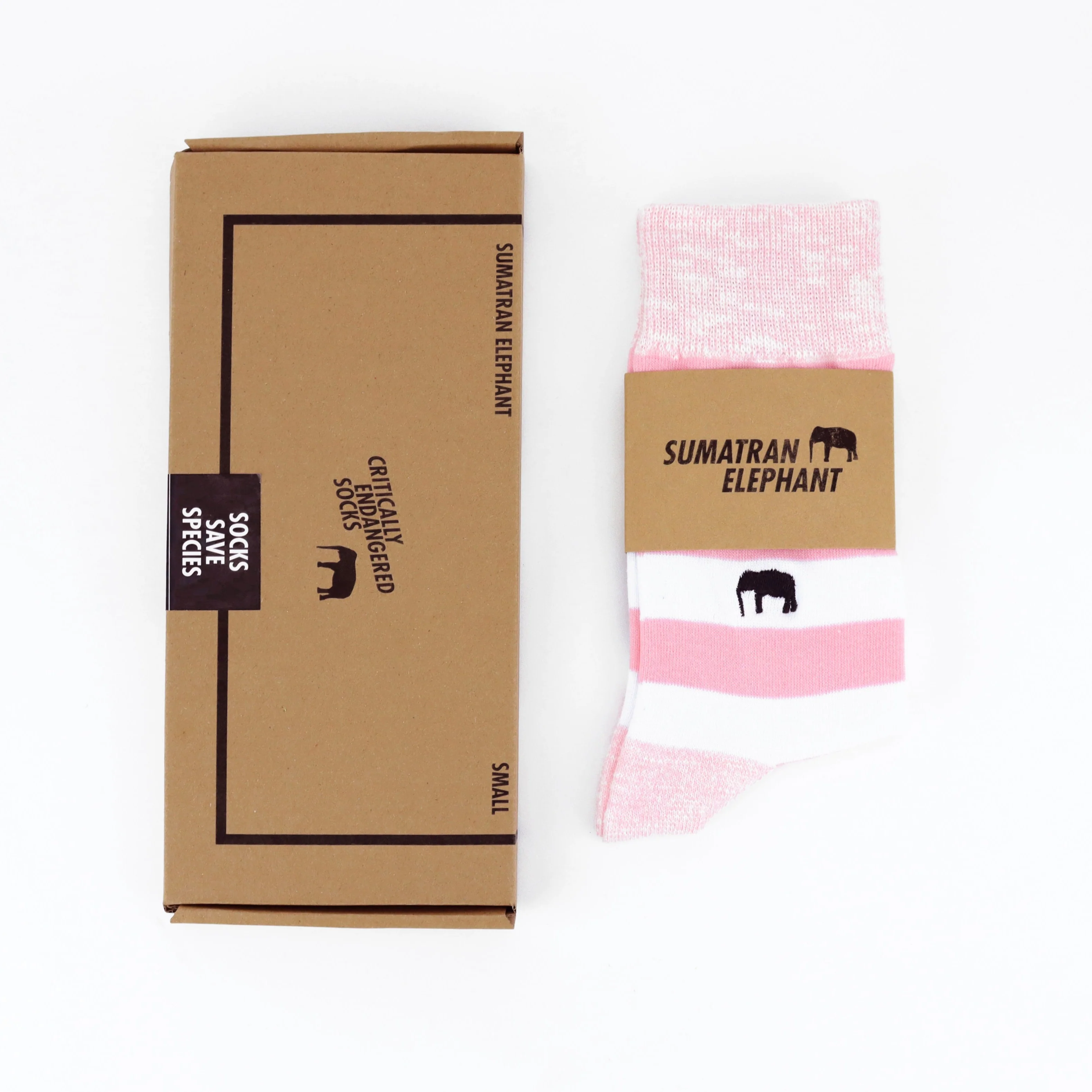 Critically Endangered Adult Striped Socks - Elephant - Image 3