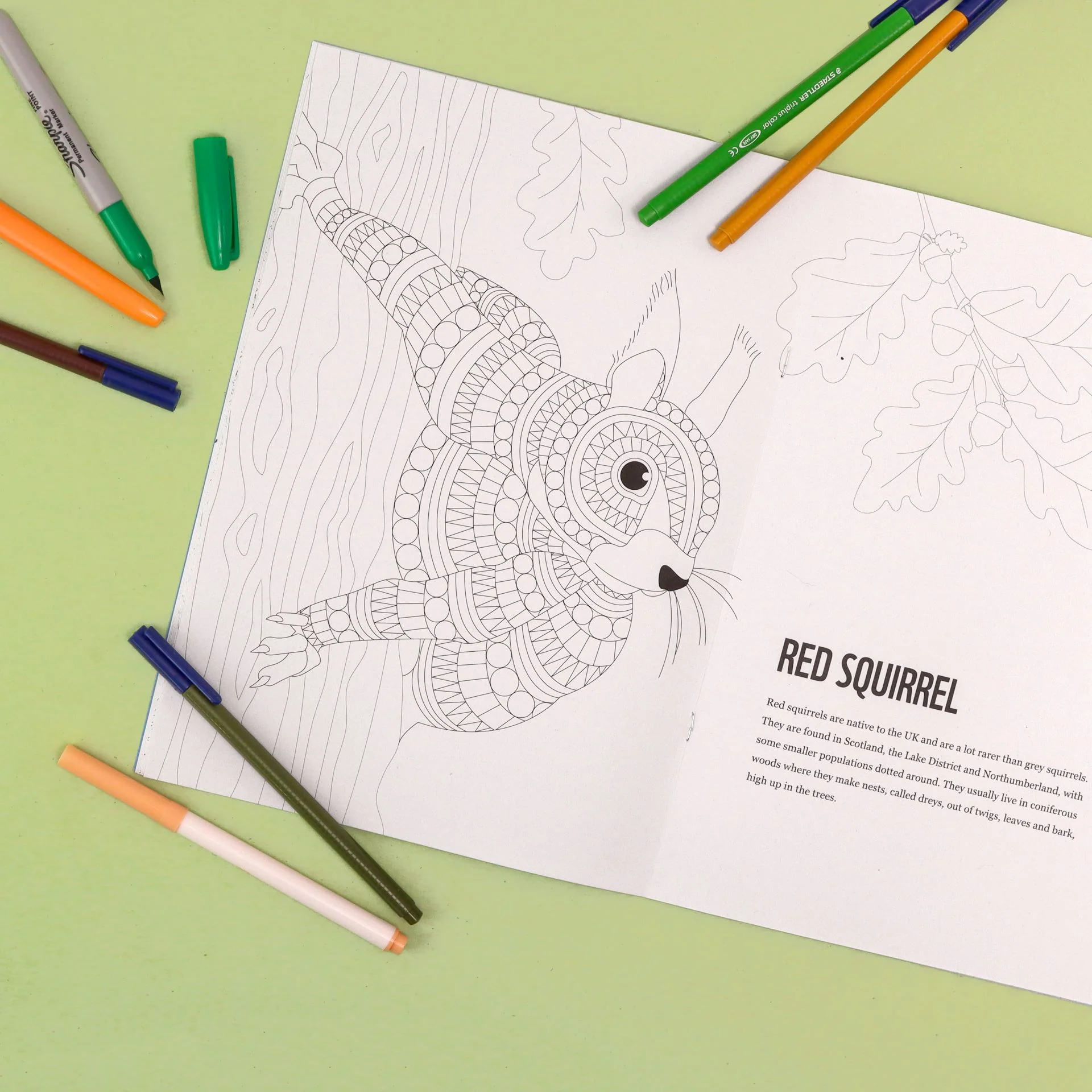 Patterns to Protect Colouring Book - UK Edition - Image 4