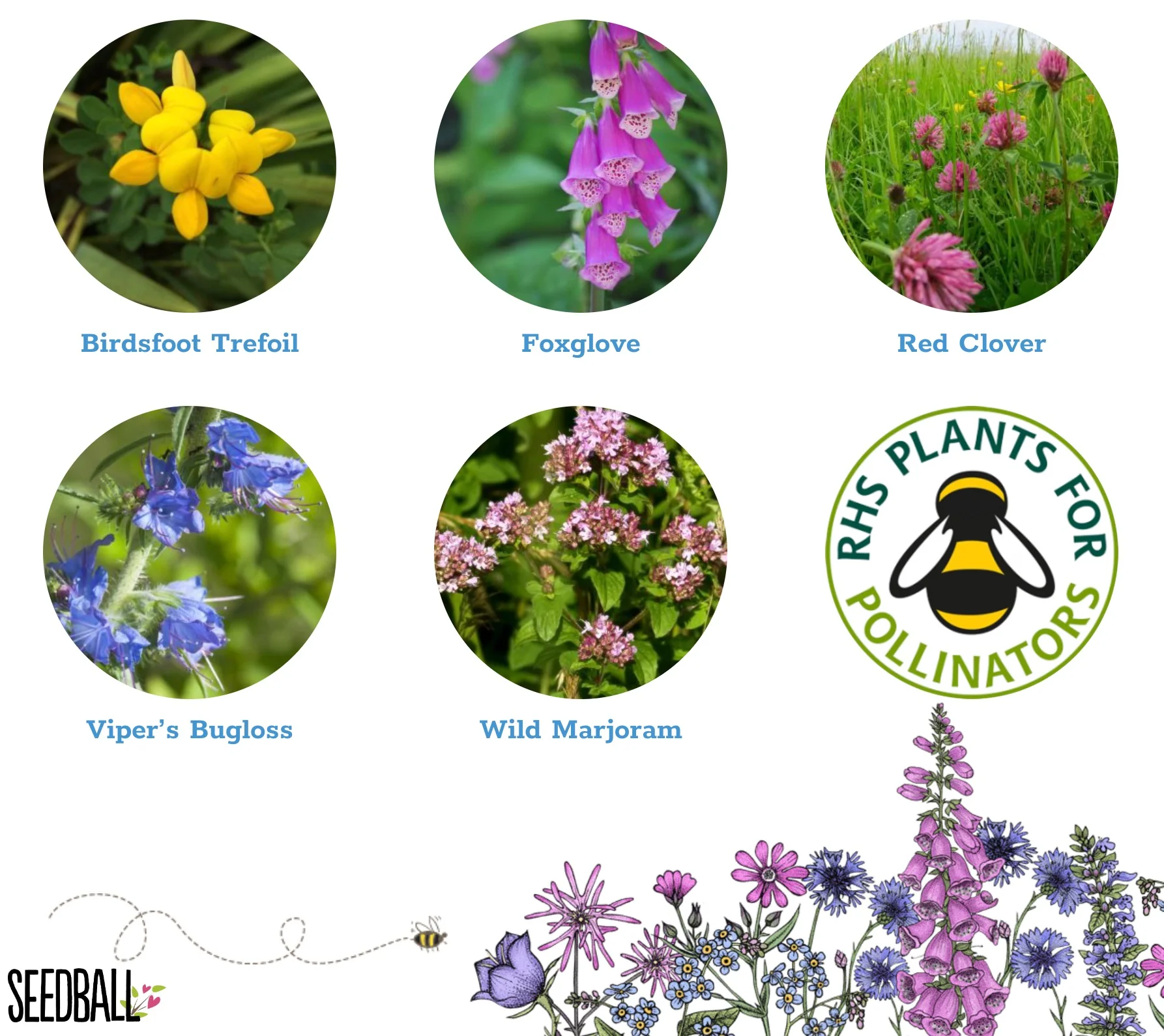 Seedball Wildflower Bee Mix Tin - Image 6