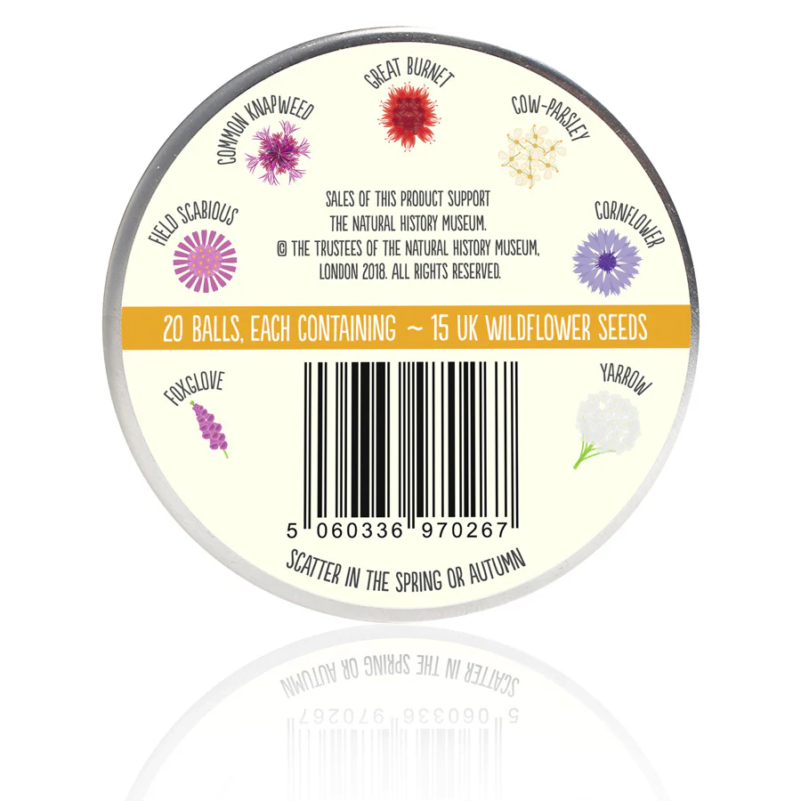 Seedball Wildflower Beetle Mix Tin - Image 3