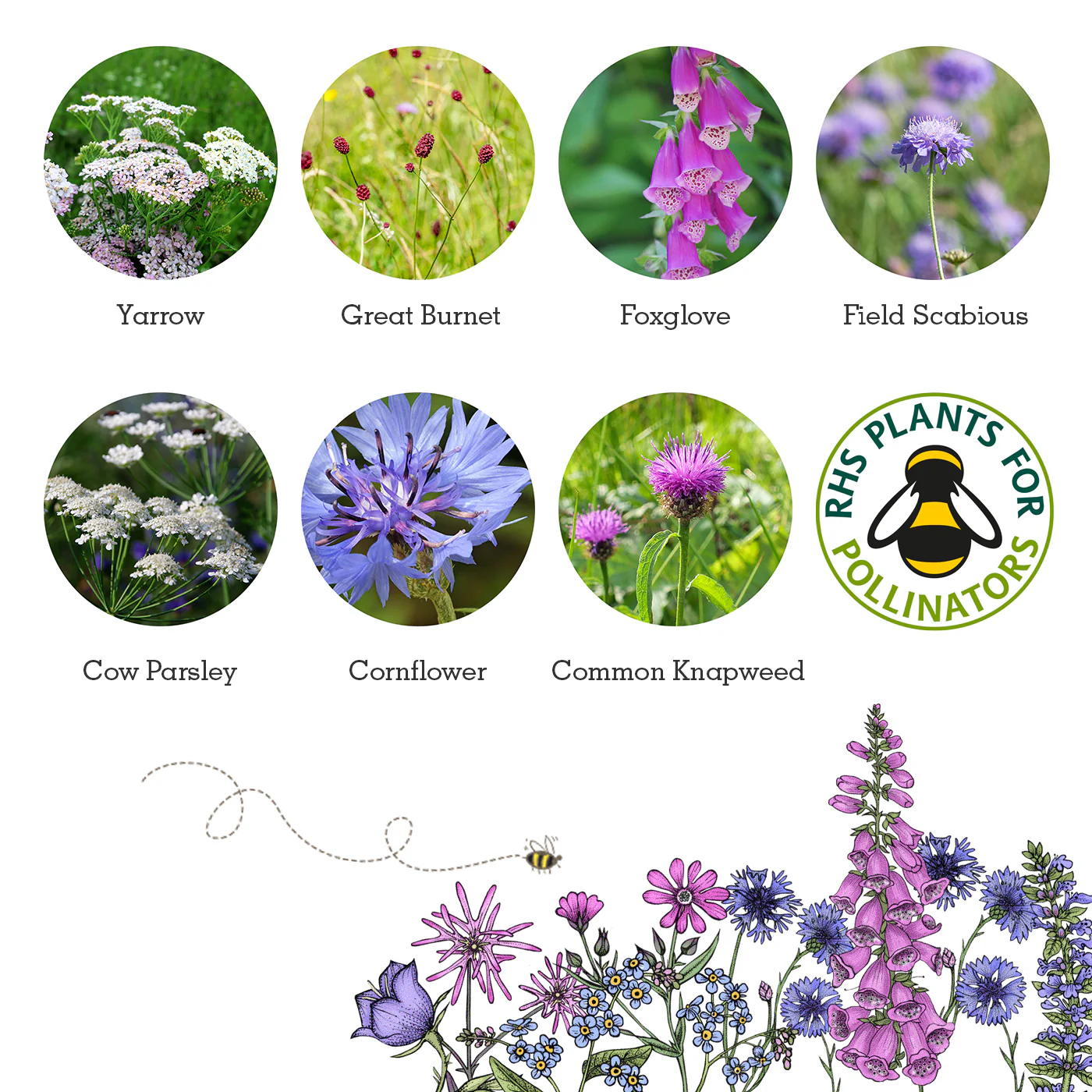 Seedball Wildflower Gift Set - Wildlife Collection - Image 7
